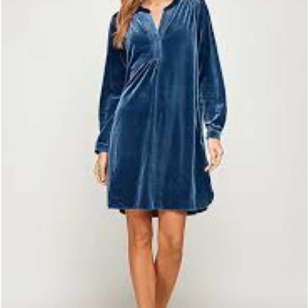 Anthropologie Melody Tunic Dress - L